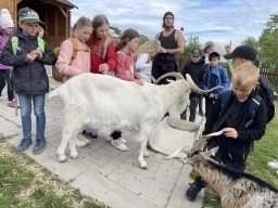 Školní výlet