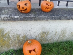 Halloweenské dýně